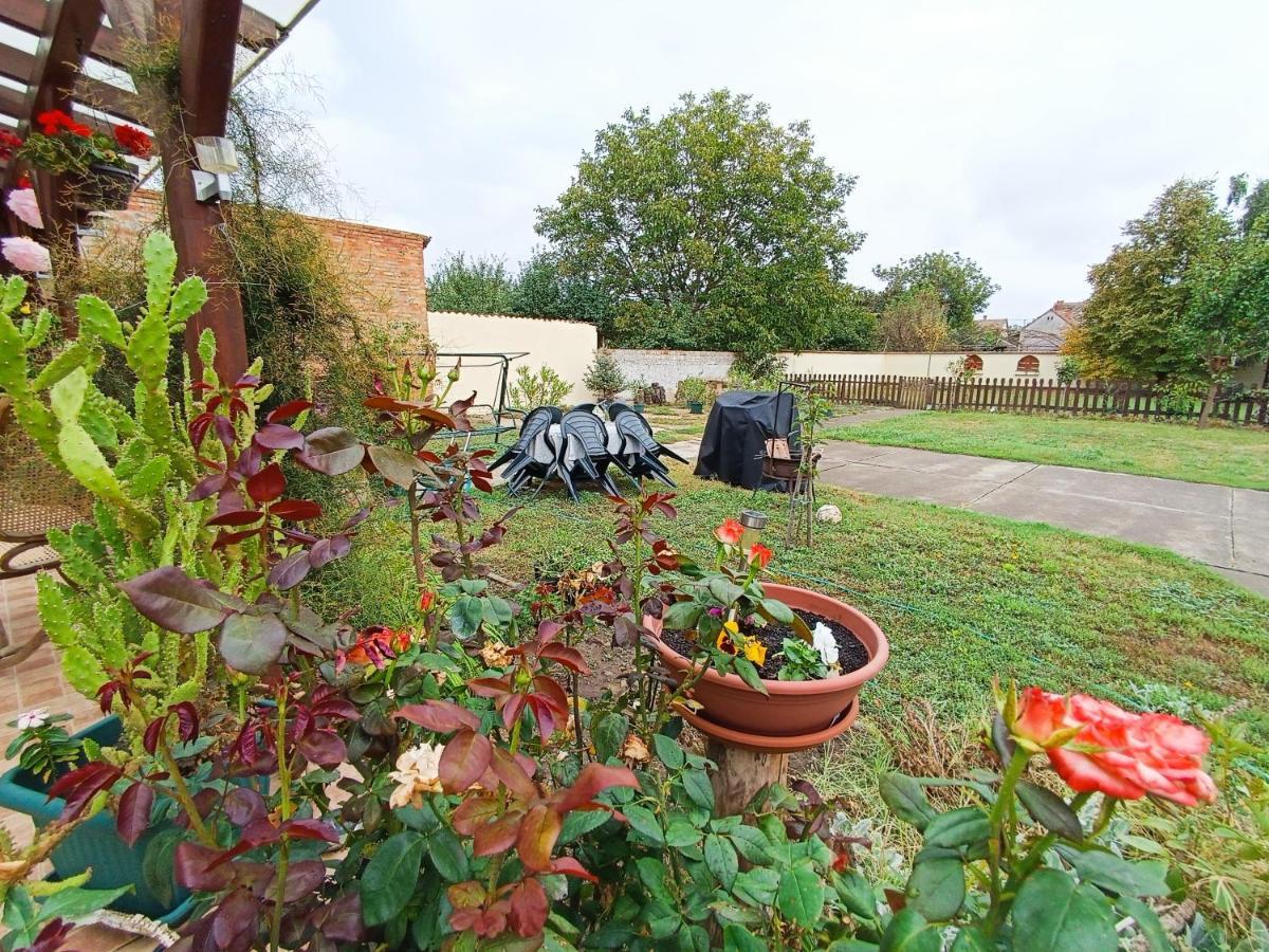 Holt-Tisza Vendeghaz Szeged Exterior foto