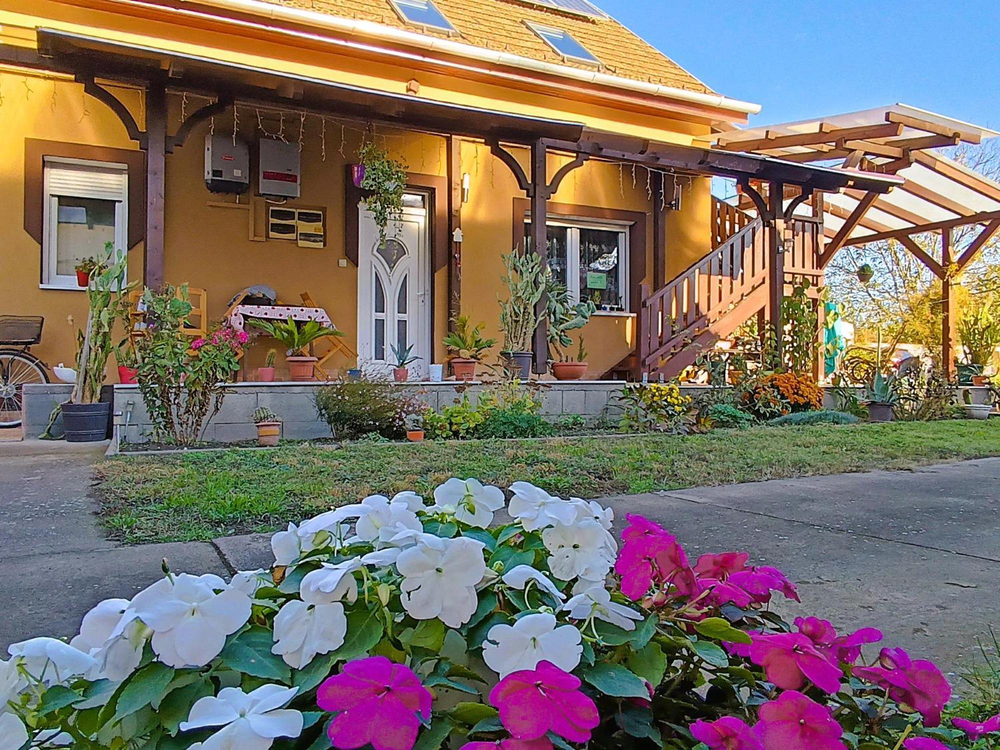 Holt-Tisza Vendeghaz Szeged Exterior foto